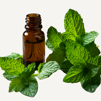 Peppermint Essential Oil