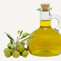 Olive Oil