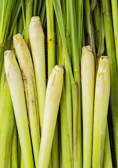Lemongrass