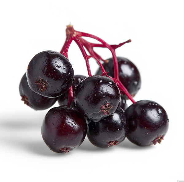 Elderberry