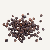 Black Pepper