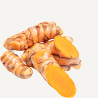 Turmeric