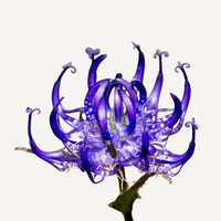 Devil's Claw